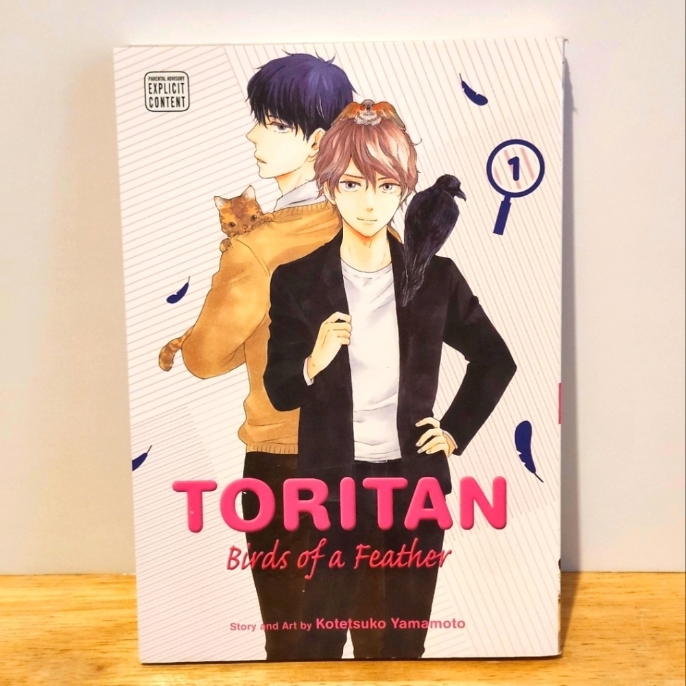 *3 for $30* Toritan Birds of a Feather Volume 1 Manga - BL Yaoi - Books